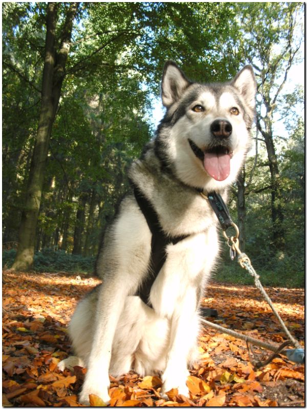 Tour Odenwald 096.jpg